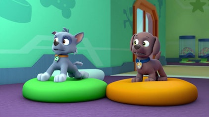 PAW Patrol - Helfer auf vier Pfoten Der verlorene Zahn
