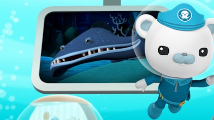 Das Okto-Lied Die Pelikanaale