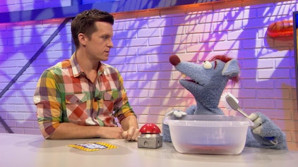 Woozle Goozle New York & Fabelwesen