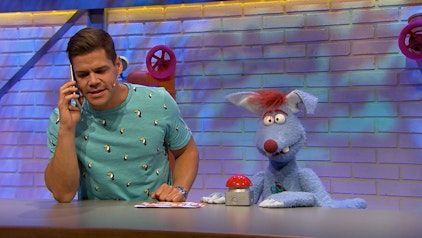 Woozle Goozle Fliegen