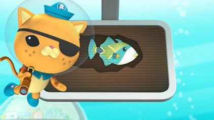 Das Okto-Lied Der Humuhumunukunukuapua'a