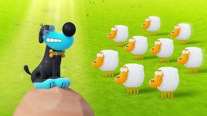 Karate Schaf Hütehund gesucht