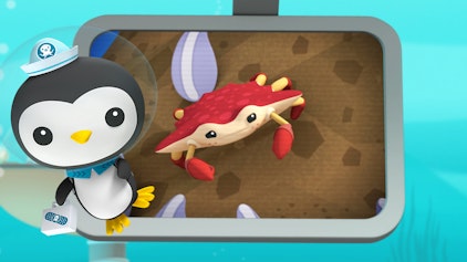 Das Okto-Lied Lied: Die roten Klippenkrabben