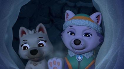 PAW Patrol - Helfer auf vier Pfoten Everest und der Polarwolf