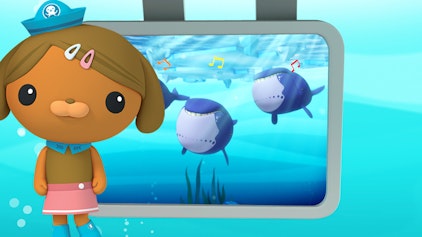 Das Okto-Lied Lied: Die Grönlandwale