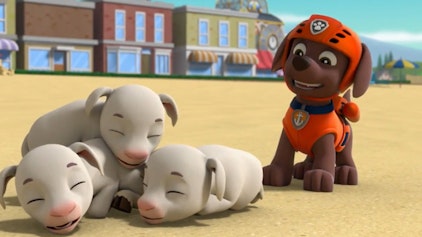 PAW Patrol - Kurze Clips Ziegen in Seenot