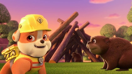 Rubble & Crew Die Crew baut einen Biberbau