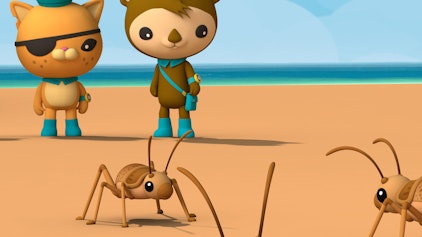 Die Oktonauten auf dem Festland Die Riesen-Weta