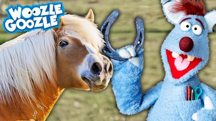 Woozle Goozle Pferde & Istanbul