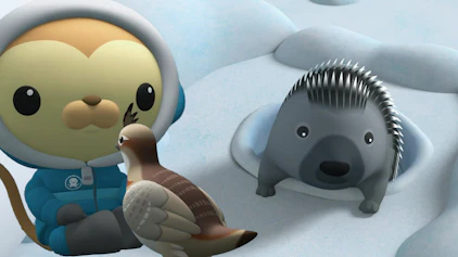 Die Oktonauten auf dem Festland Das Geheimnis unter dem Schnee