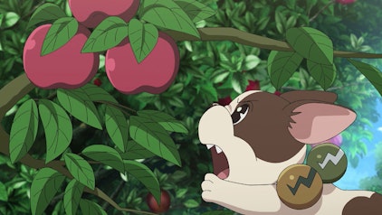 Bakugan: Armored Alliance Bakugan Kampfliga, Tokio Edition