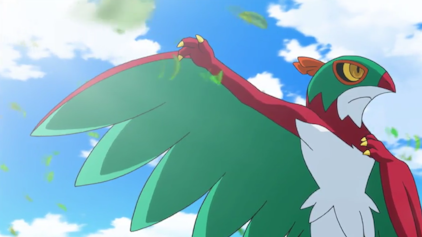 Pokémon: XY Der Wald-Champion!