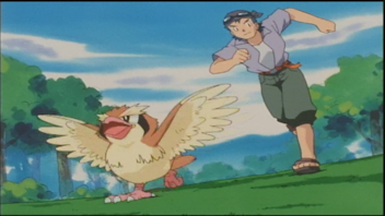 Pokémon: Master Quest Hoch hinaus!