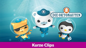 Das Okto-Lied
