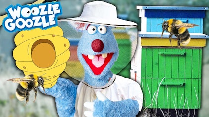 Woozle Goozle Bienen & Tunnel