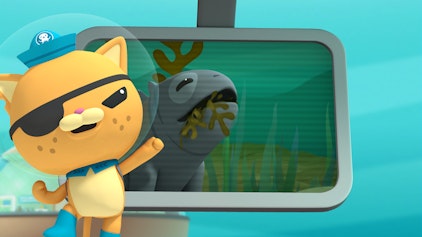 Das Okto-Lied Die Meeresechsen