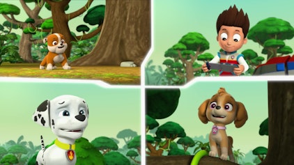 PAW Patrol - Helfer auf vier Pfoten Der Papagei