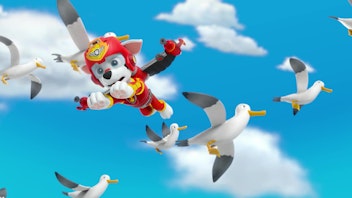 PAW Patrol - Helfer auf vier Pfoten Flugzeug in Not