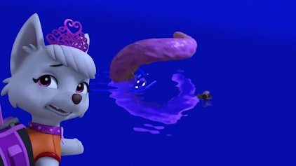 PAW Patrol - Helfer auf vier Pfoten Kutsche in Seenot