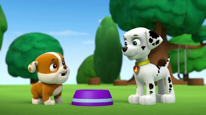 PAW Patrol - Helfer auf vier Pfoten Rubble, der Fundhund