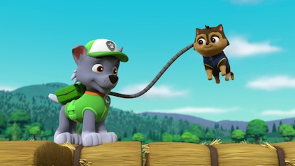PAW Patrol - Helfer auf vier Pfoten Katies mobiler Waschsalon