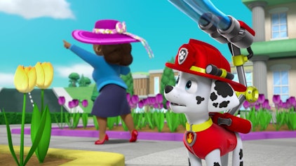 PAW Patrol - Helfer auf vier Pfoten Das Kätzchen-Rettungsteam