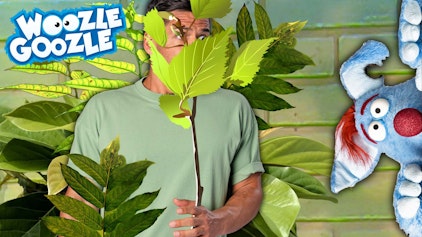 Woozle Goozle Fotografie & Tarnung