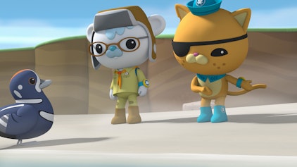 Die Oktonauten auf dem Festland Die Kragenente