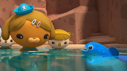 Die Oktonauten auf dem Festland Die Teufelskärpflinge