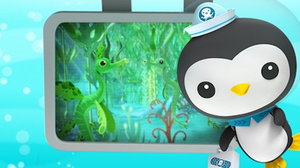 Das Okto-Lied Die Großen Fetzenfische