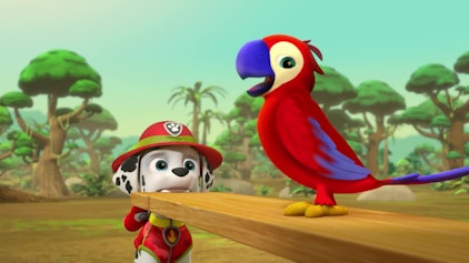 PAW Patrol - Helfer auf vier Pfoten Der sprechende Papagei