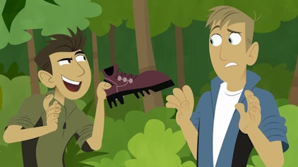 Go Wild! - Mission Wildnis Die Tauschbörse der Einsiedlerkrebse