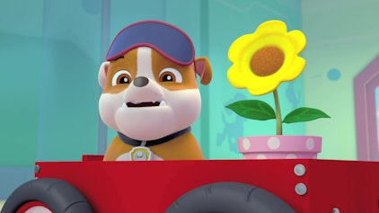 PAW Patrol - Helfer auf vier Pfoten Hochzeit in Gefahr