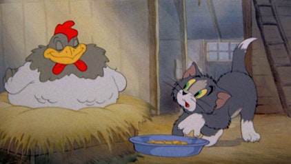 Tom und Jerry Tom und das dumme Huhn