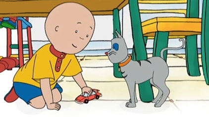 Caillou Ein ganz besonderes Geschenk