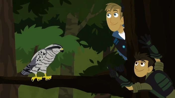 Go Wild! - Mission Wildnis Die Eichel-Olympiade