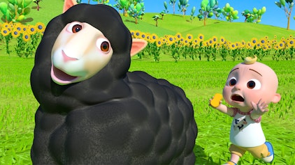 CoComelon Das schwarze Schaf