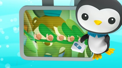 Das Okto-Lied Die Meeresschnecken im Kelpwald