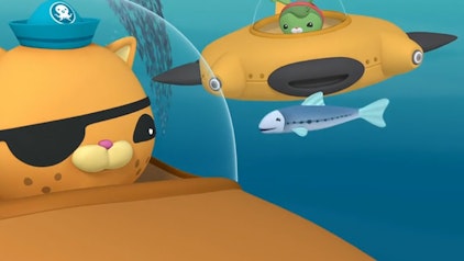 Die Oktonauten Die Oktonauten und der Sardinenschwarm