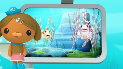 Das Okto-Lied Die Feuerfische