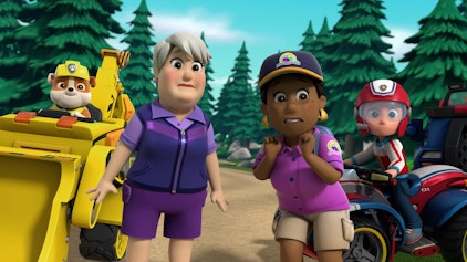 PAW Patrol - Helfer auf vier Pfoten Die Hühnertulpe