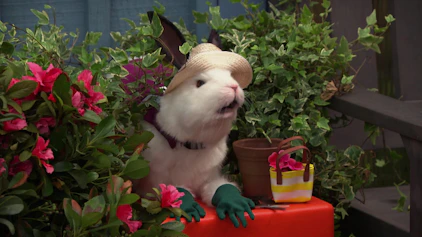 Die Thundermans Dreifach-Date am Herzbaum